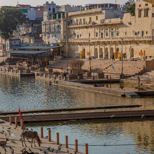 pushkar